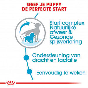 Royal Canin Starter Medium Hond