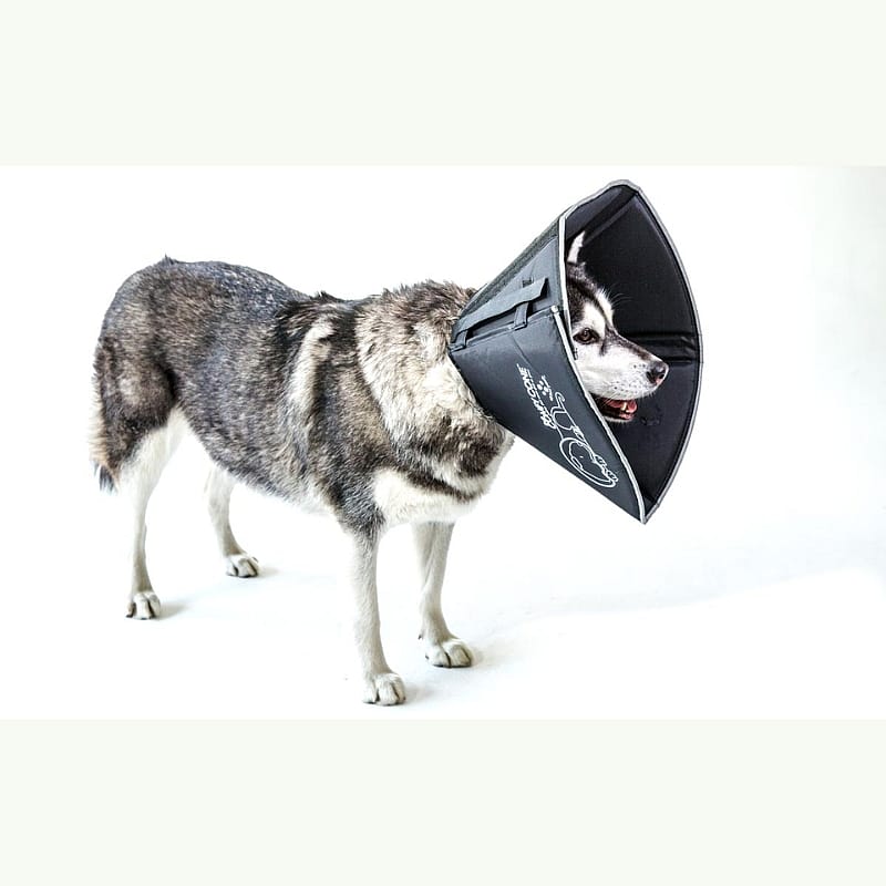 Comfy Cone Hondenkraag X-Small - Zwart