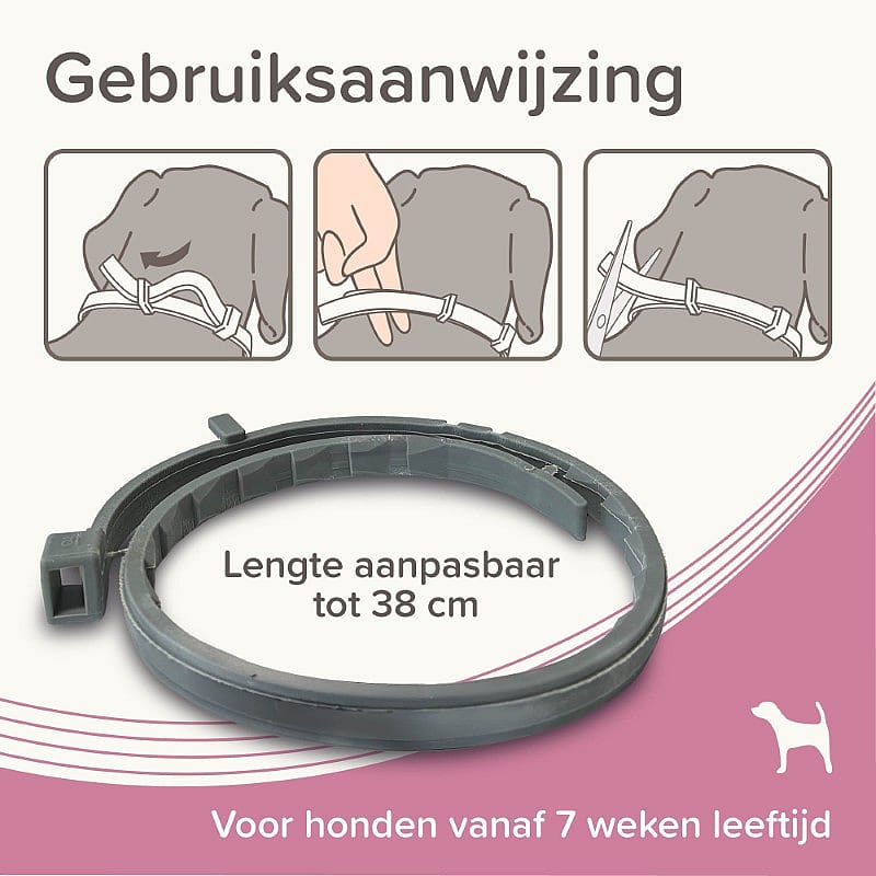 halsband, halsbandsluiting, ring, aanpasbare lengte, dog collar