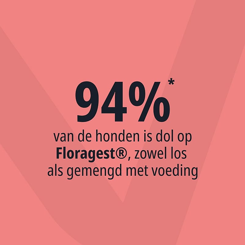 tekst, poster, waarschuwing, Nederlands, grafisch