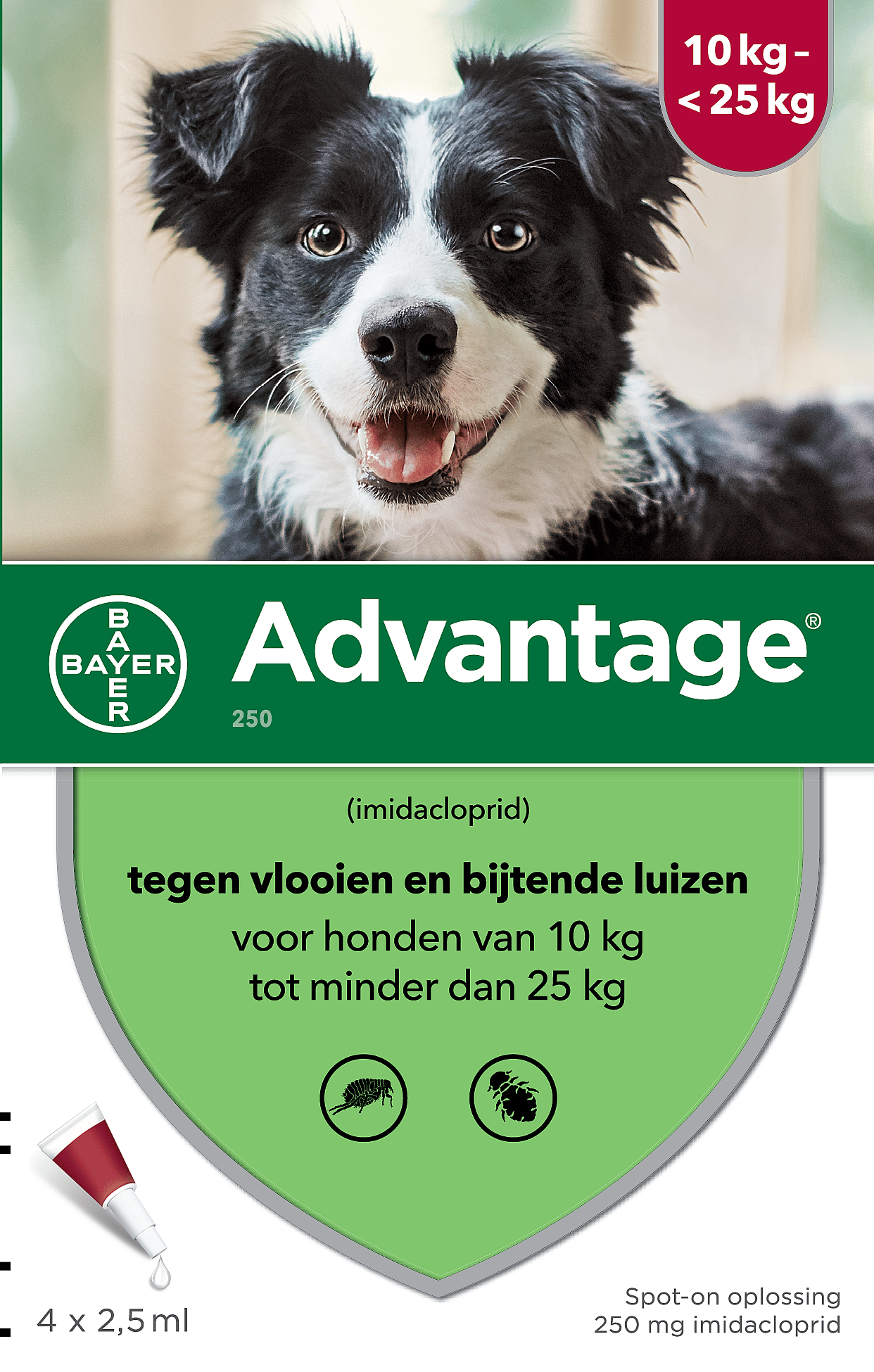 Advantage Spot-on Hond 250 mg - 10 - 25 kg