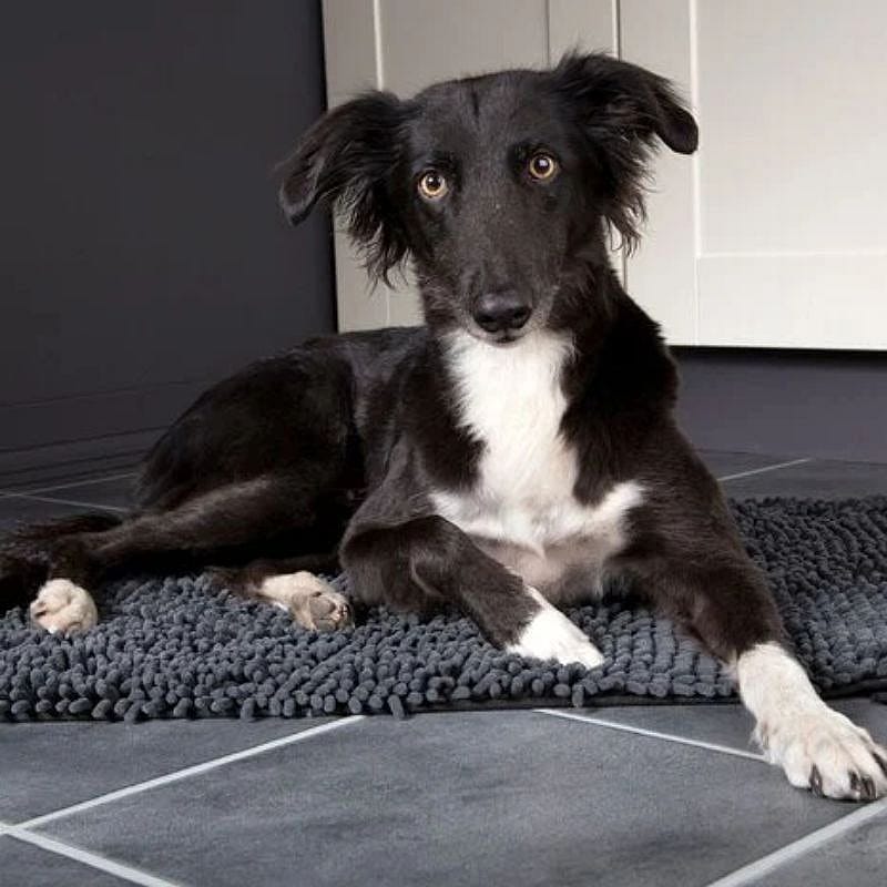 Scruffs Noodle Dry Mat Droogmat Hond