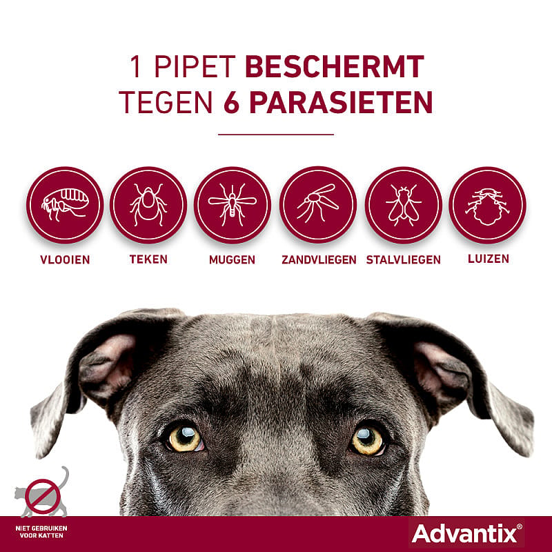 Advantix Spot-on Hond 6 pipetten - 25 - 40 kg - 400/2000