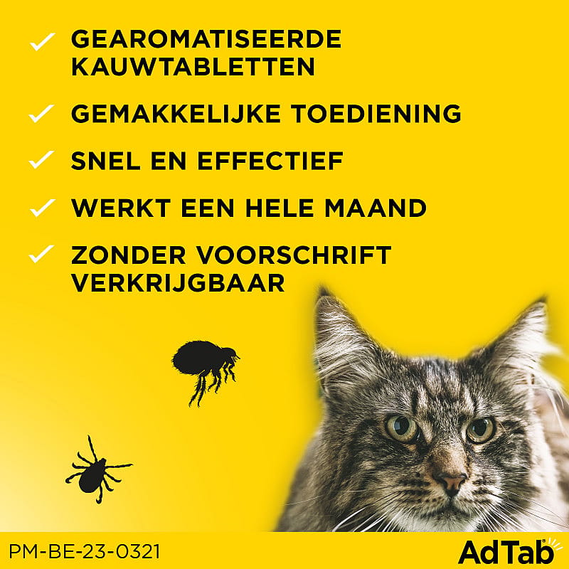AdTab Kat
