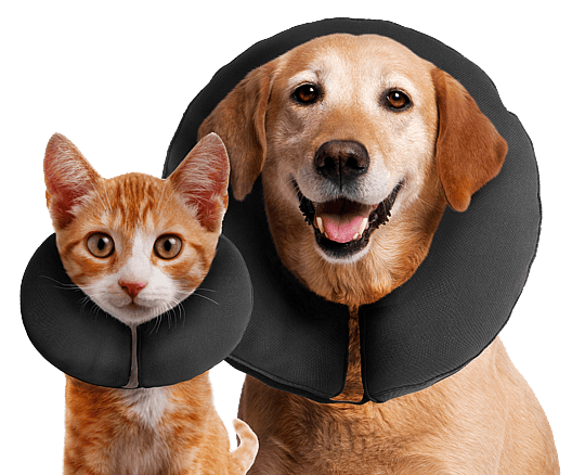 Zenpet Procollar Kraag