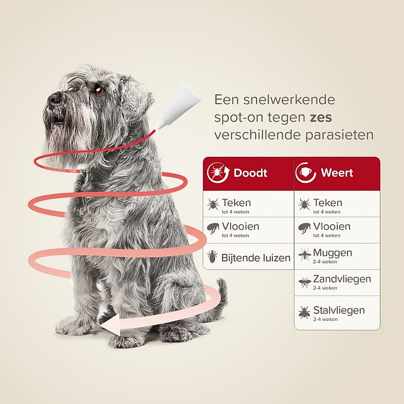 Beaphar ProtecTix Hond 4 pipetten 4 tot 10 kg - 4 pipetten