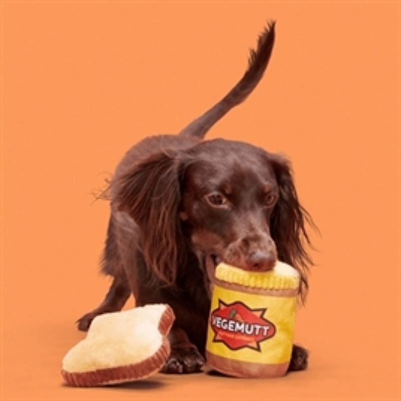 hond, kauwpot, kauwgijs, snack, potje