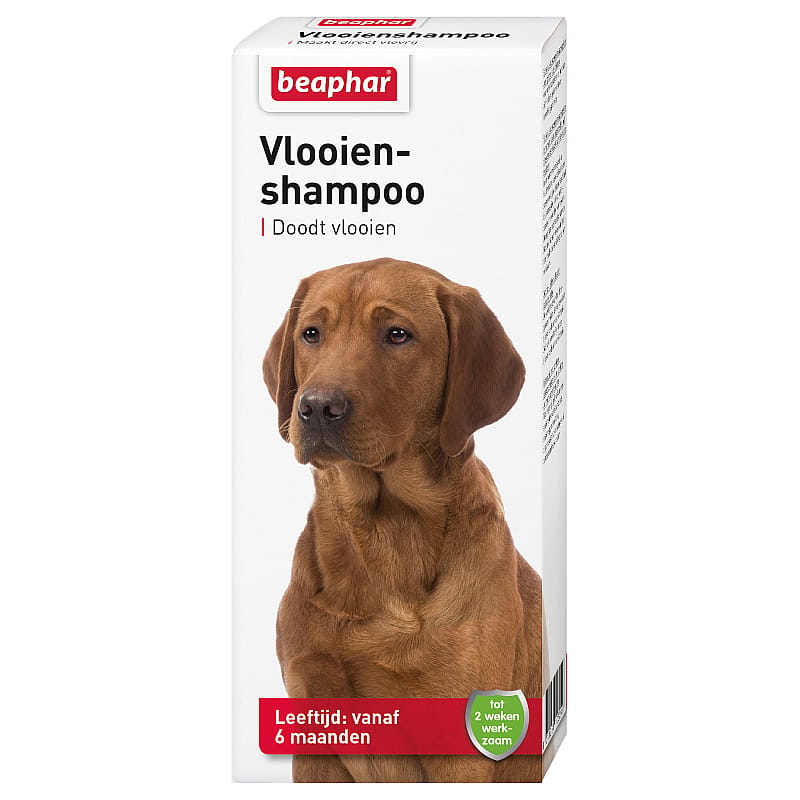 honden-shampoo, vlooien, poeder, dierenverzorging, huidige verzorging