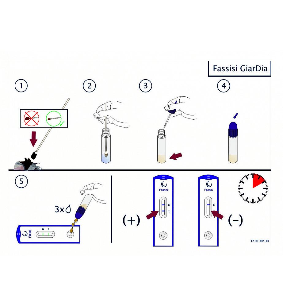 Fassisi Giardia Ontlasting Sneltest Hond Kat
