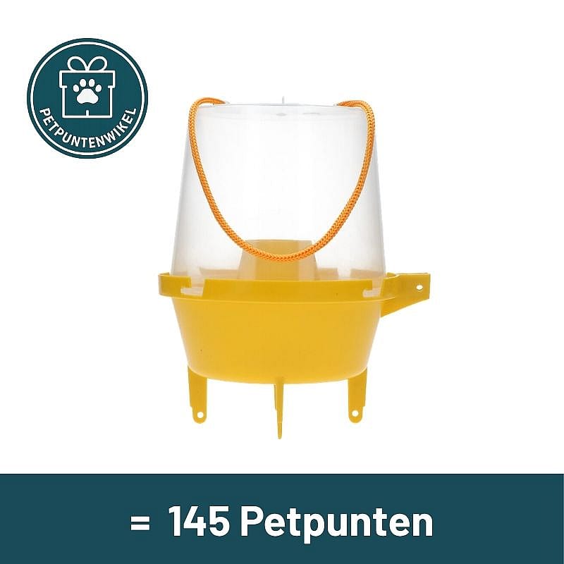 vogeltje, lantaar, kinderverlichting, huisdierverzorging, lampenkap