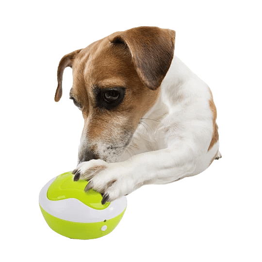 AFP Interactives Puppy Interpreter