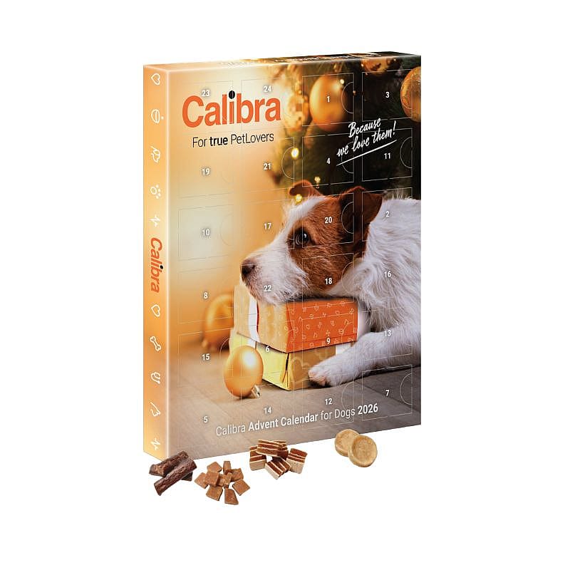 caliber, advent kalender, dog, verpakking, chocolade