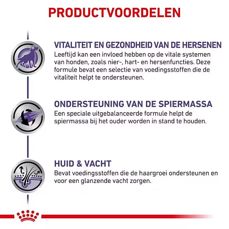 hond, spiermassa, haar, voedingsstoffen, vitale functies