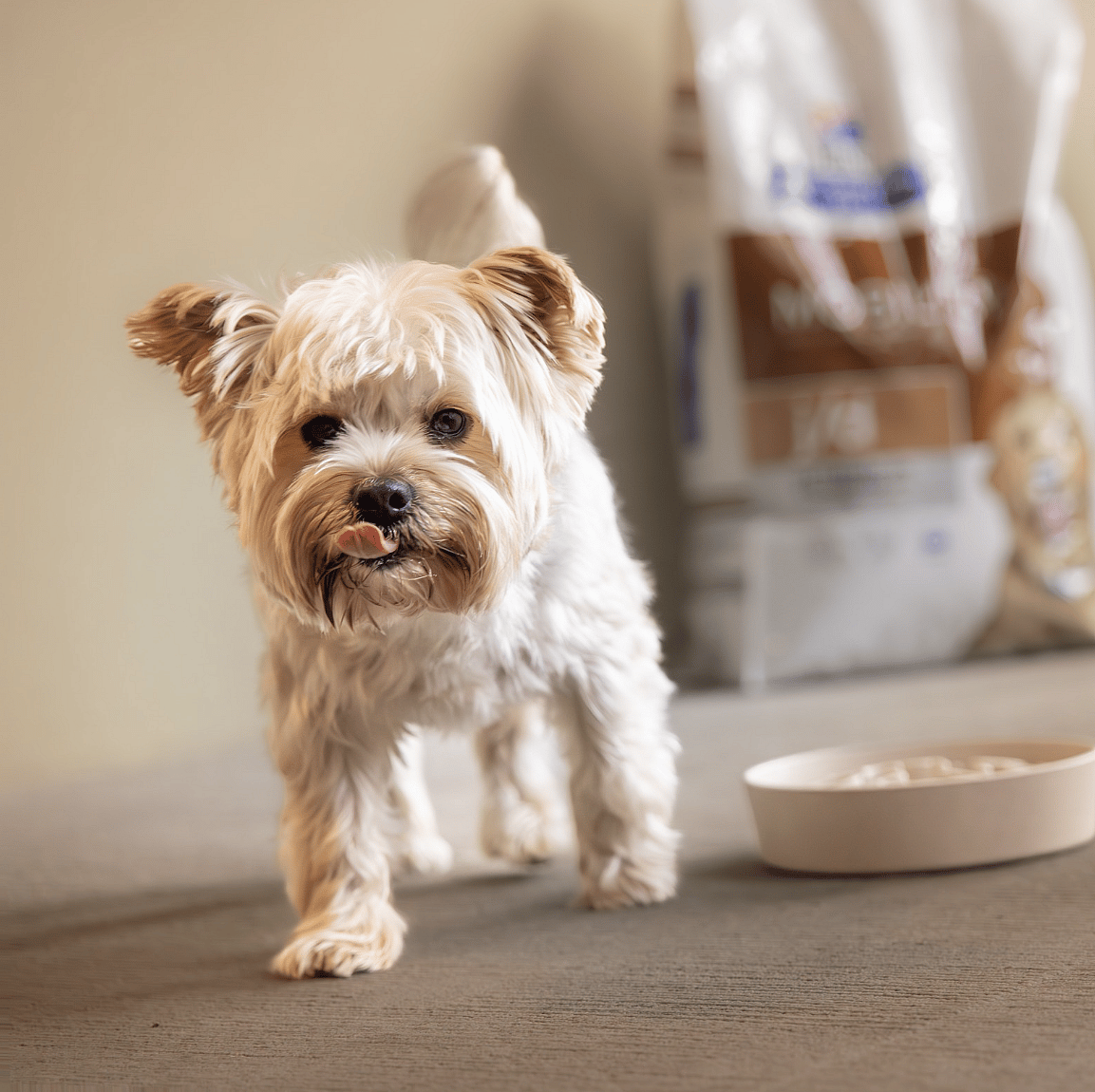 VoerVast-abonnement-Dierapotheker-hond-kat