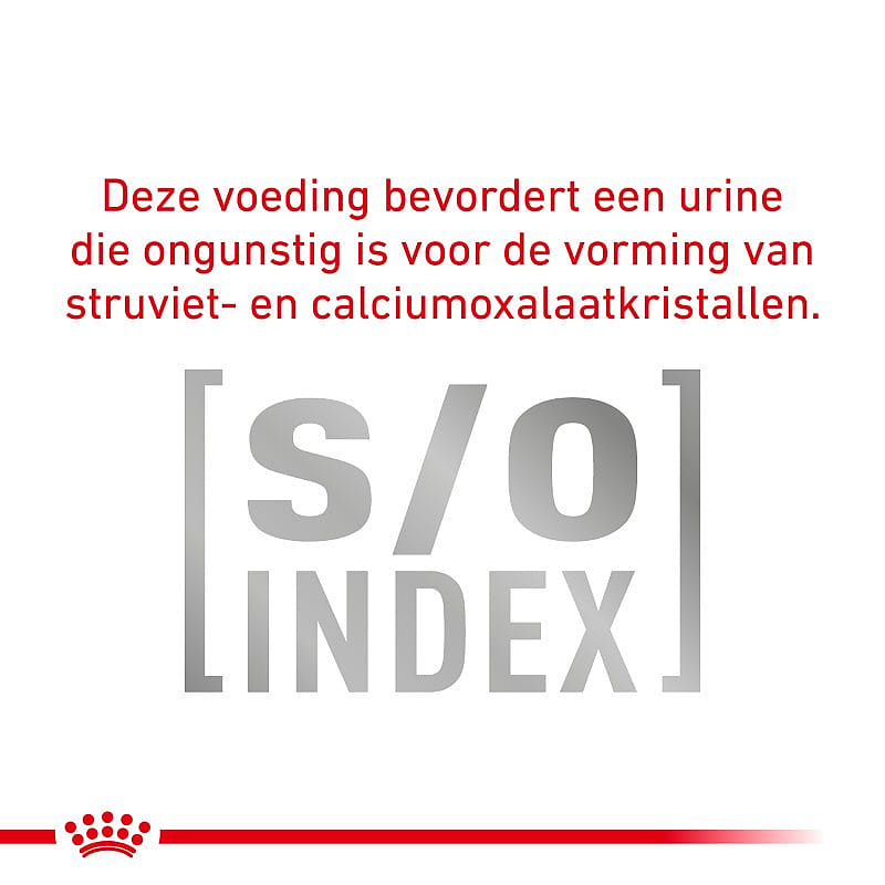 Royal Canin Urinary S/O Moderate Calorie Kat 12 x 85 gram maaltijdzakjes - Morsels in Gravy