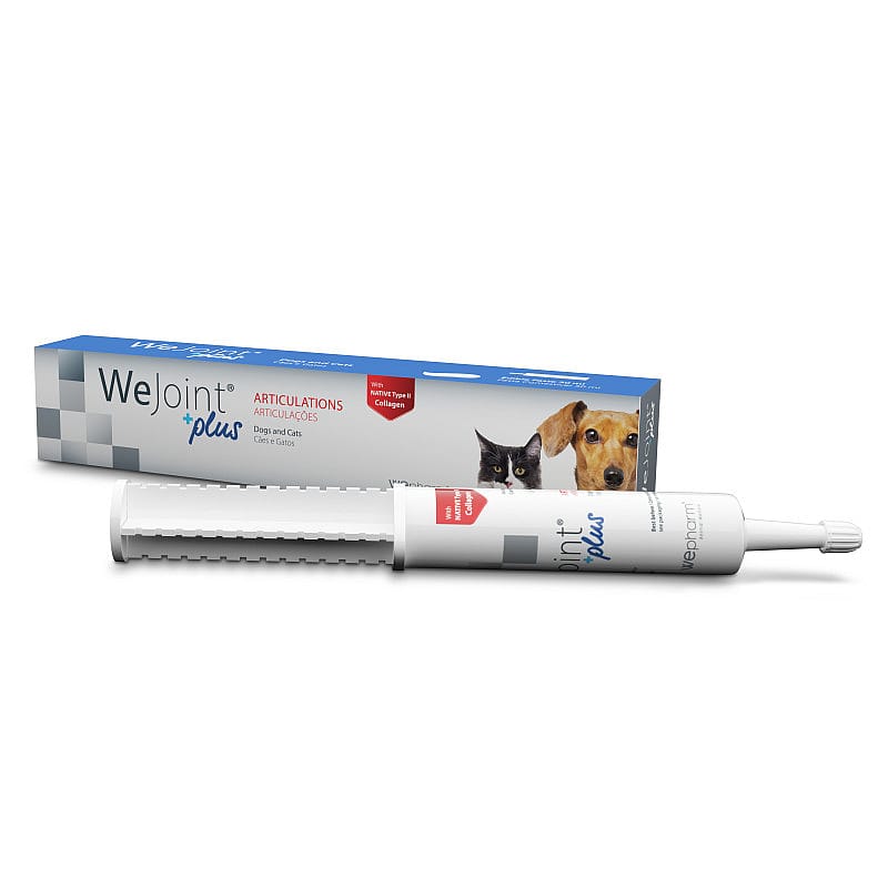Wepharm WeJoint Plus Pasta 30 ml