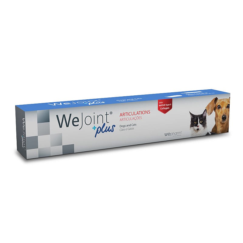 Wepharm WeJoint Plus Pasta 30 ml