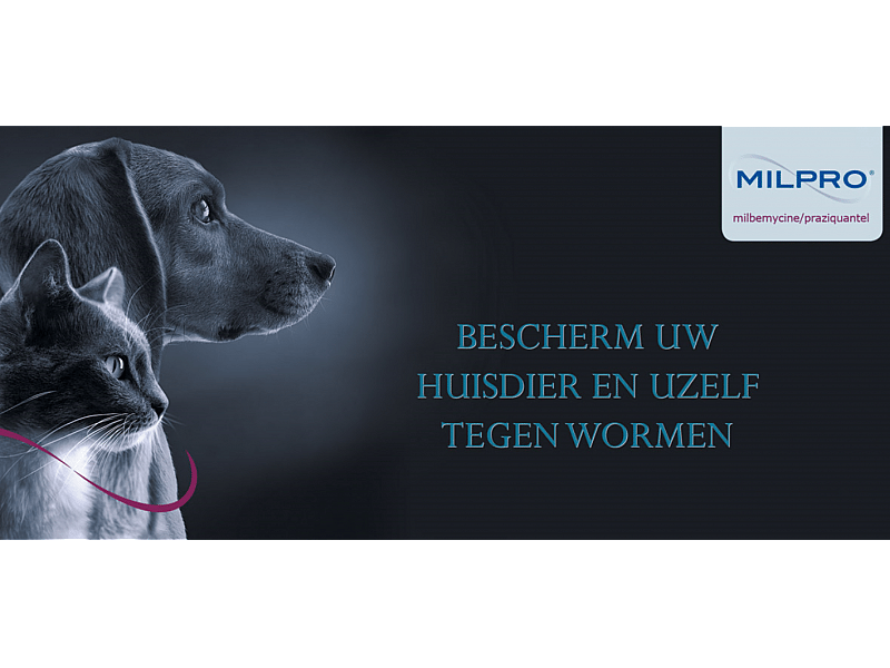 Milpro Ontwormingstabletten Hond 4 stuks - Hond > 5 kg