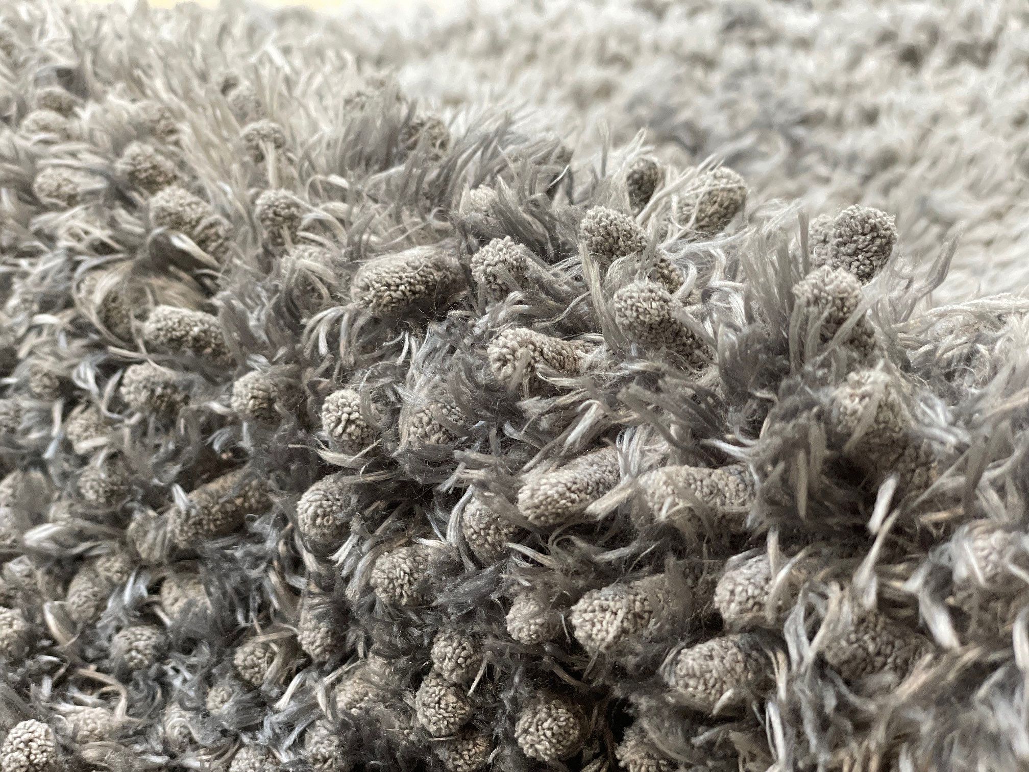 Royal Dry Doormat Droogloop deurmat Hond