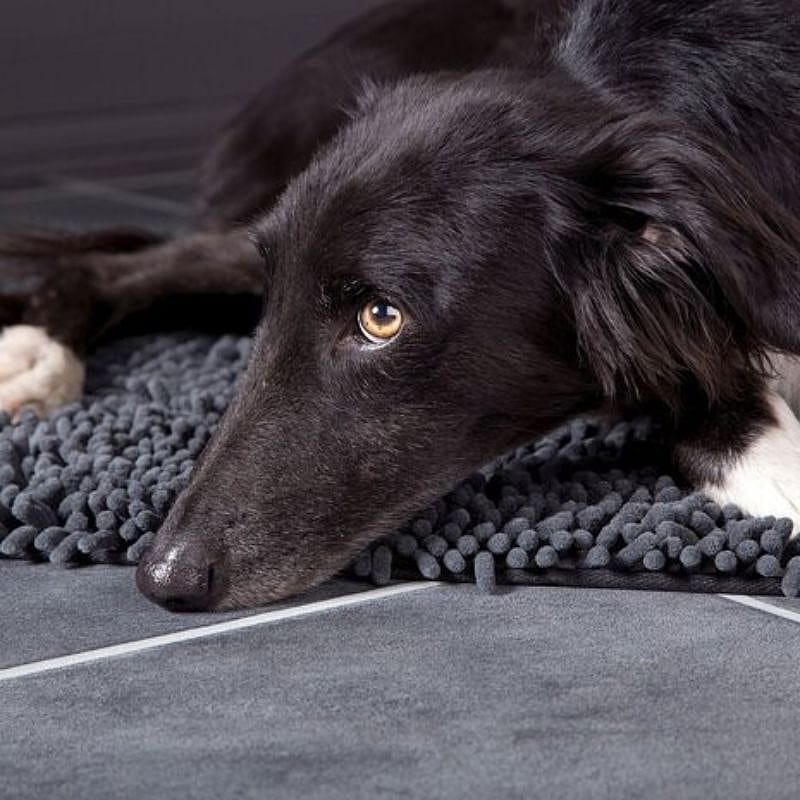 Scruffs Noodle Dry Mat Droogmat Hond
