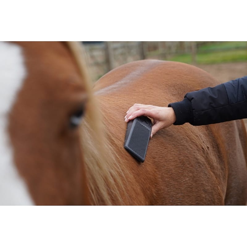 Excellent Grooming Brush Borstel Large Paard Zwart