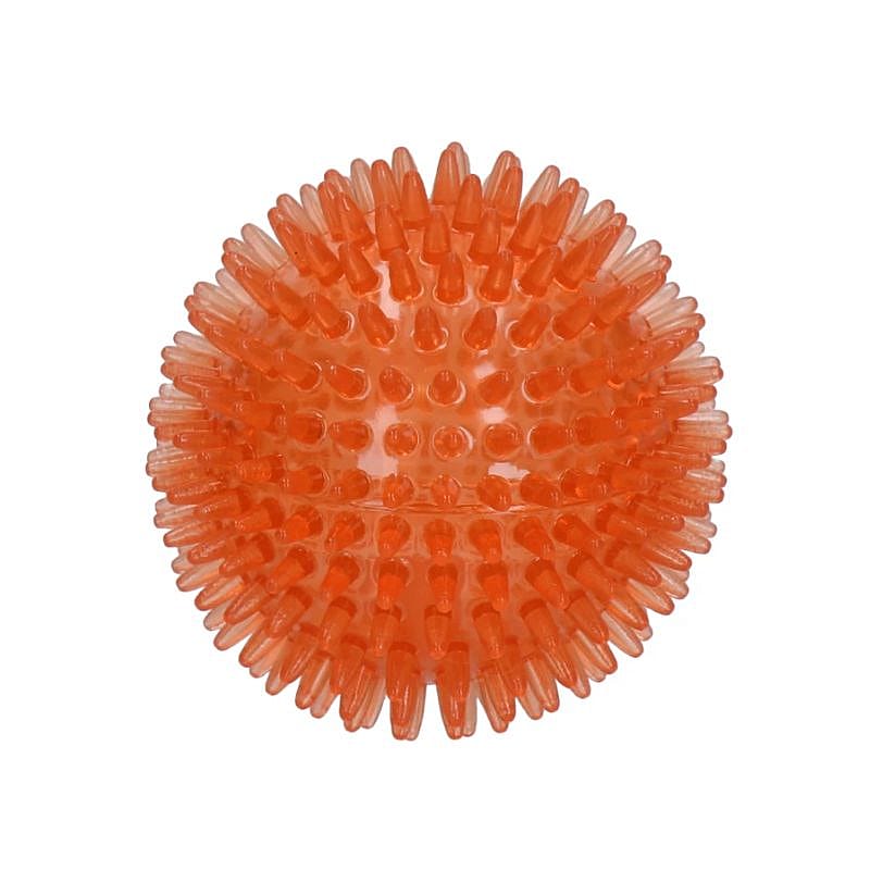 Dog Comets Exoplanet Egelbal Hond Oranje M