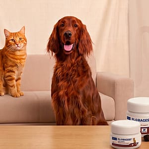 Floragest-Virbac-Hond-Kat