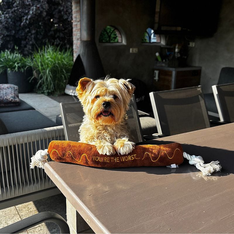 Beeztees BBQ Worst Met Touw Pluche Hond