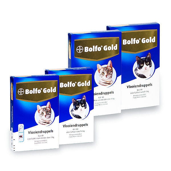 Bolfo Gold Kat