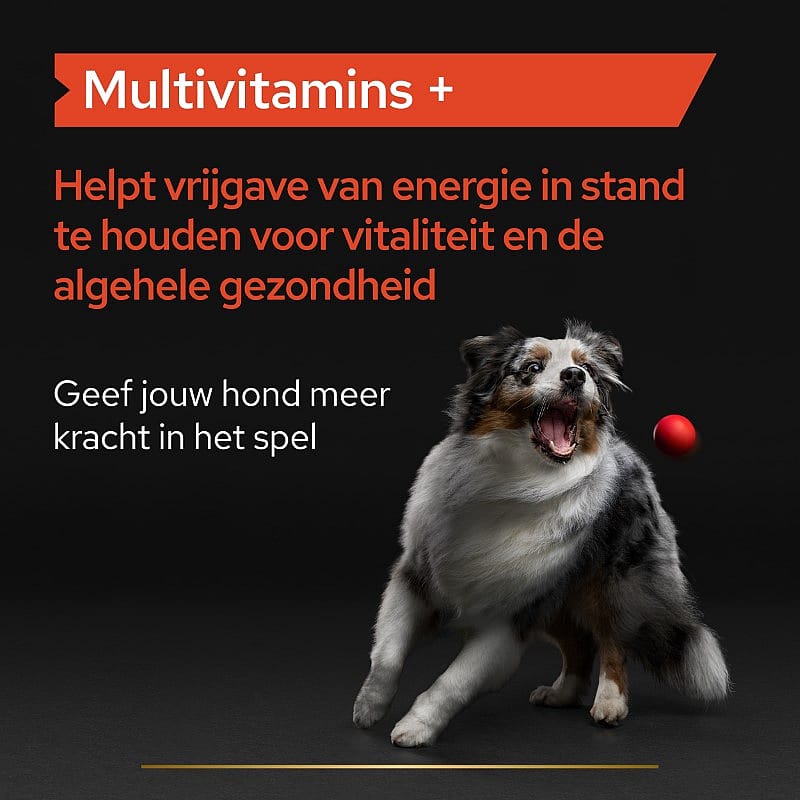 Purina Pro Plan Multivitamins+ Supplement Hond 45 tabletten