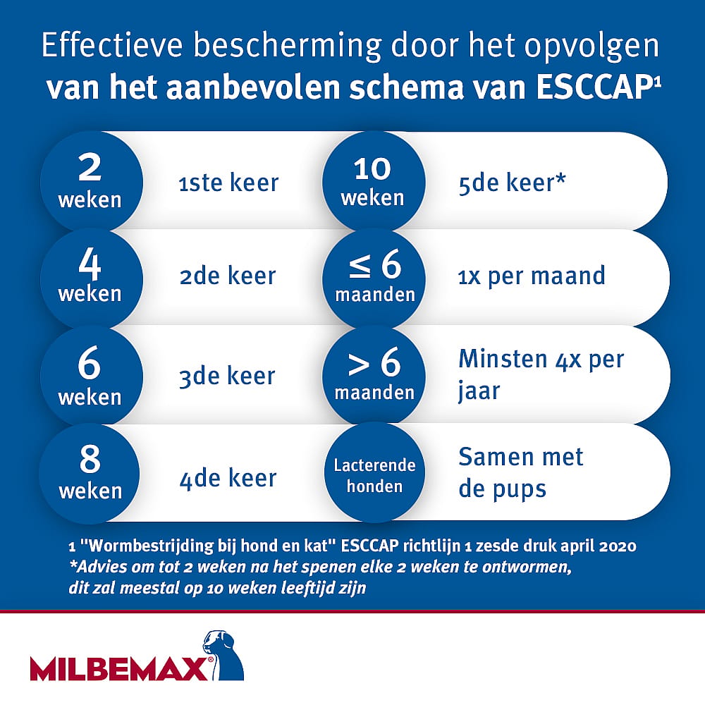 Milbemax Grote Hond Ontwormingstabletten 50 tabletten