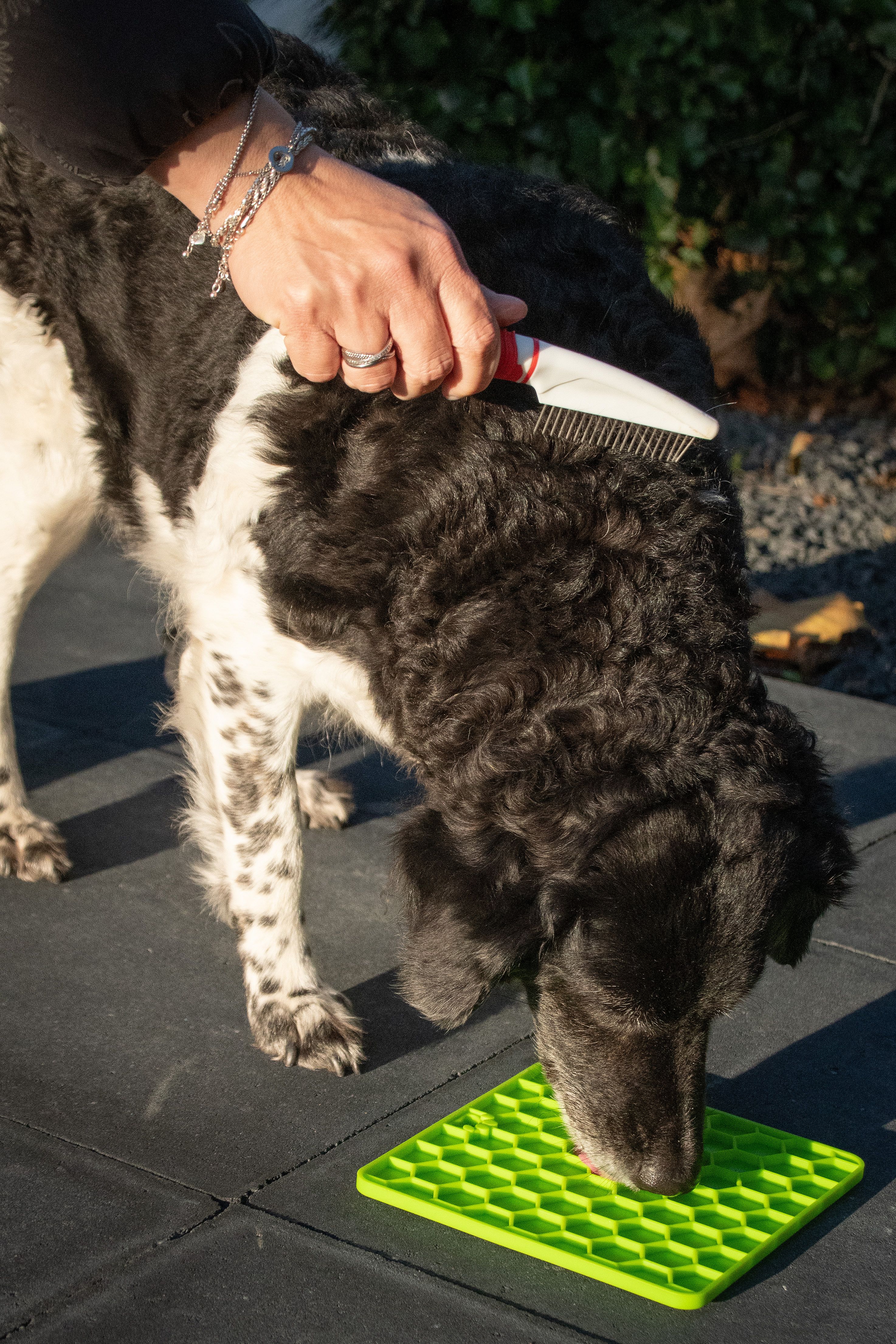Eat Slow Live Longer Honeycomb Lick Mat