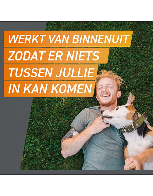 Frontpro Vlo Teek Kauwtablet Hond
