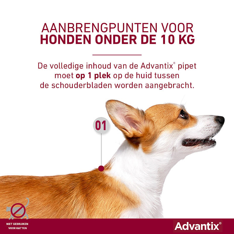 Advantix Spot-on Hond 24 pipetten - 4 - 10 kg - 100/500