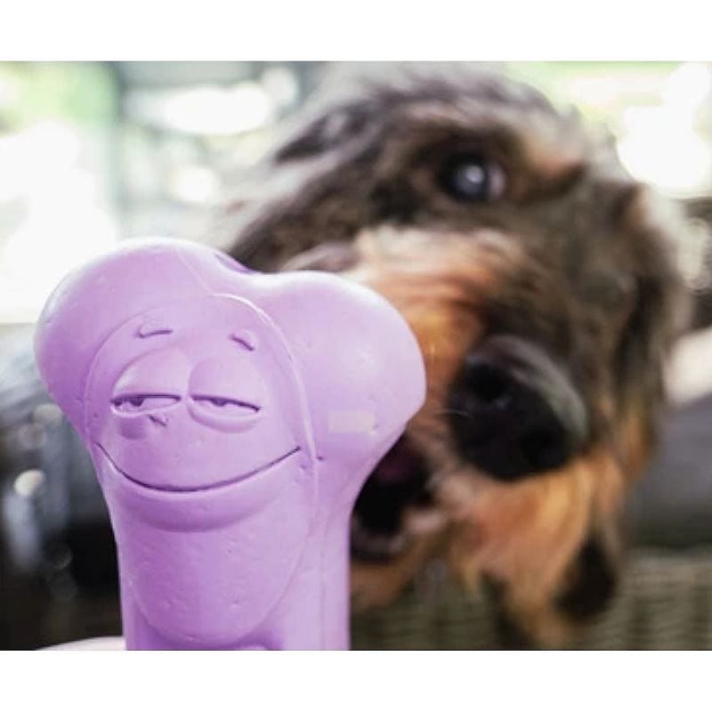 Moodies, natuurlijke rubberen kauwbotten met geurtjes Hond Paars