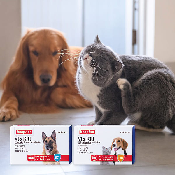 Beaphar Vlo Kill Hond en Kat tot 11 kg - 6 tabletten