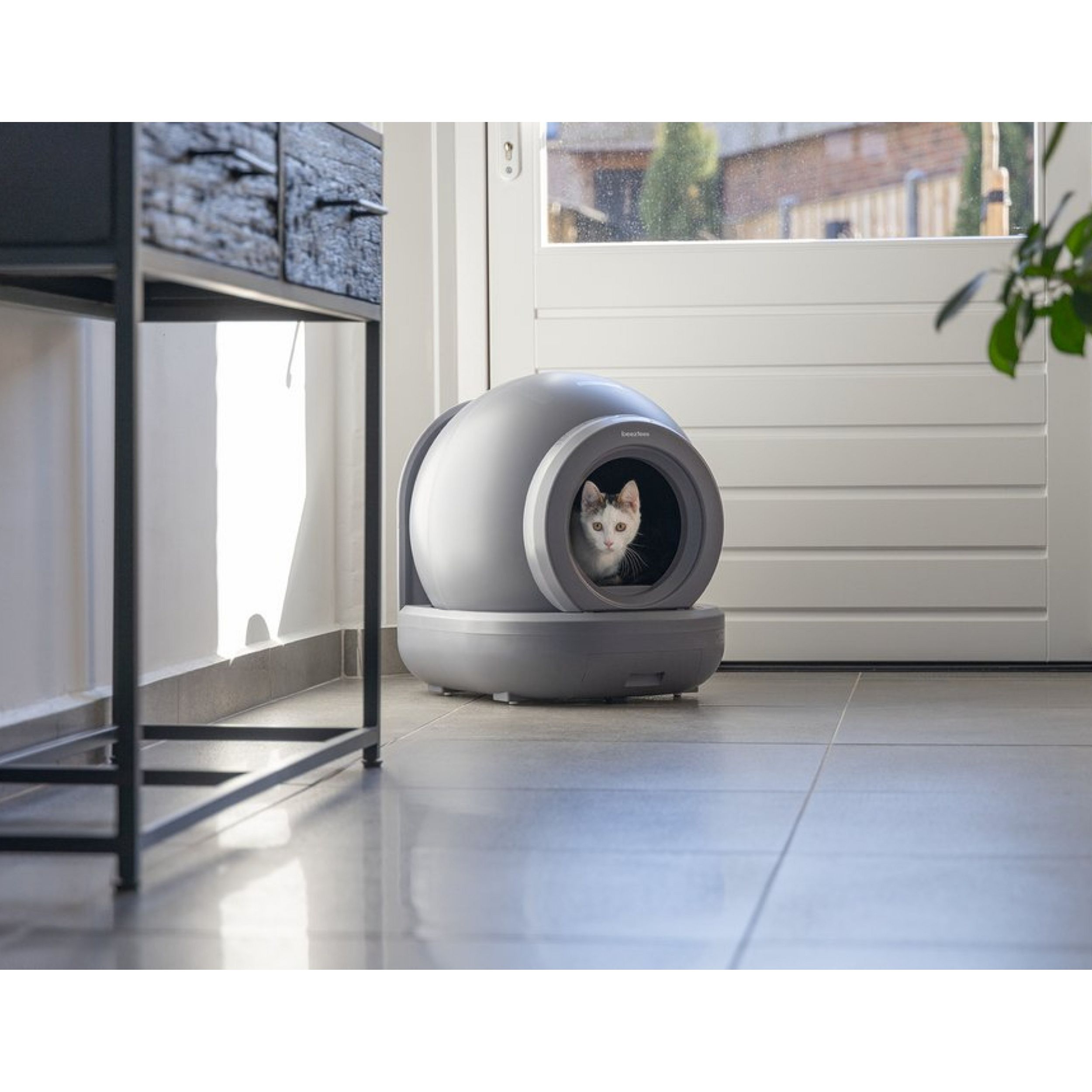 kat, kattenhuis, poot, grijs, ontwerptelijk