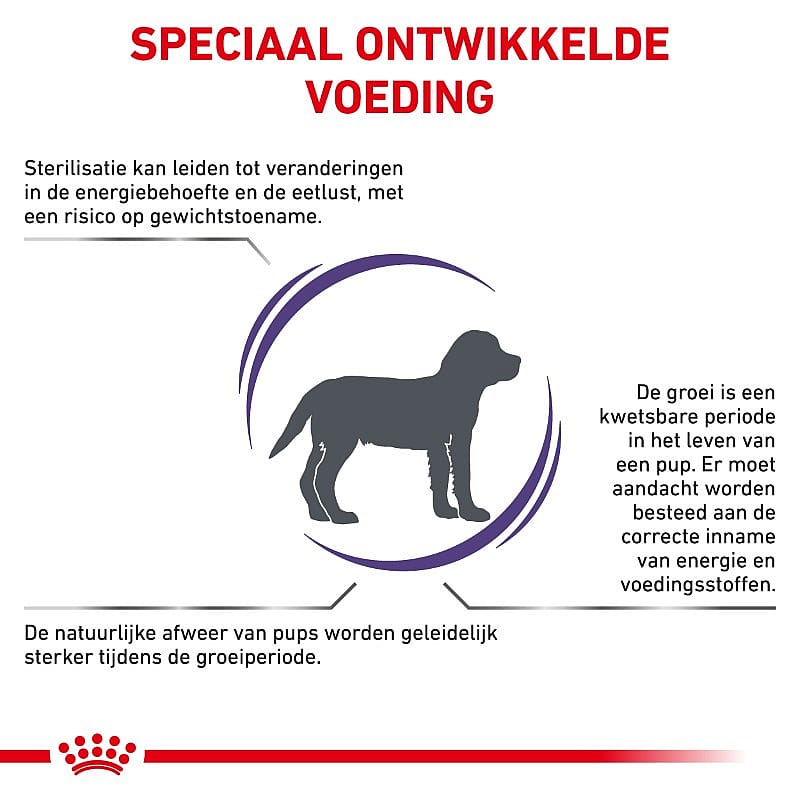 Royal Canin Neutered Junior Medium Dog