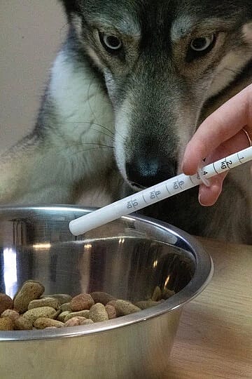 Dolthene Ontwormen Vloeistof Hond