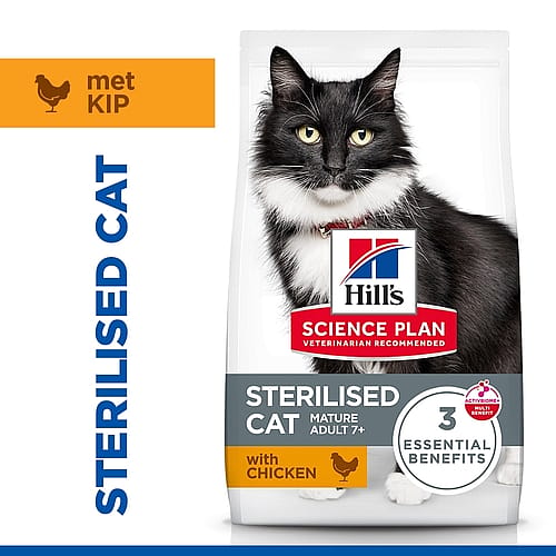 sterilised, kat, kibble, volwassen, kip