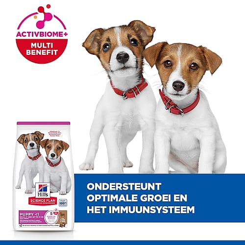 hondenvoer, pup, bil, red collar, droogvoeding