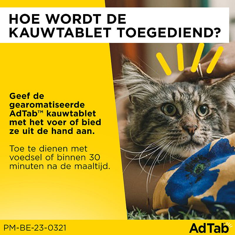 AdTab Kat