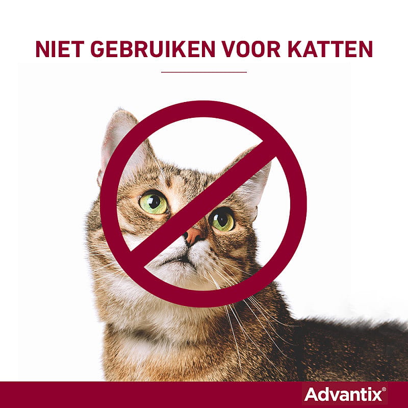 Advantix Spot-on Hond 24 pipetten - 25 - 40 kg - 400/2000