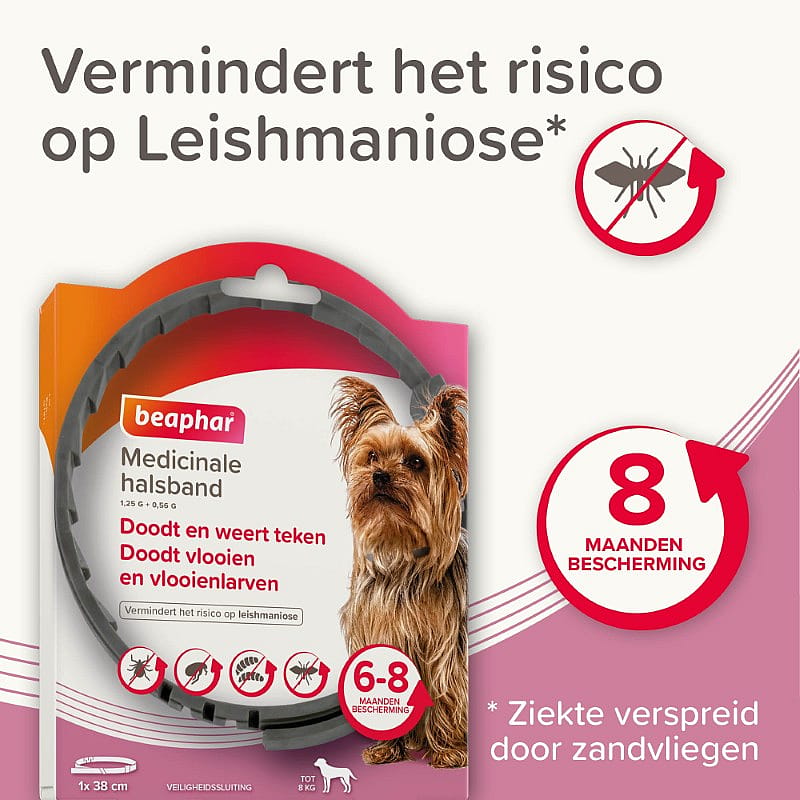 halsband, anti-muggen, hond, dog, verduurling