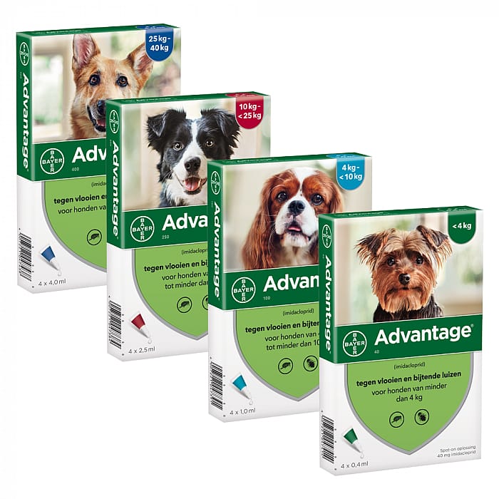 Advantage Spot-on Hond