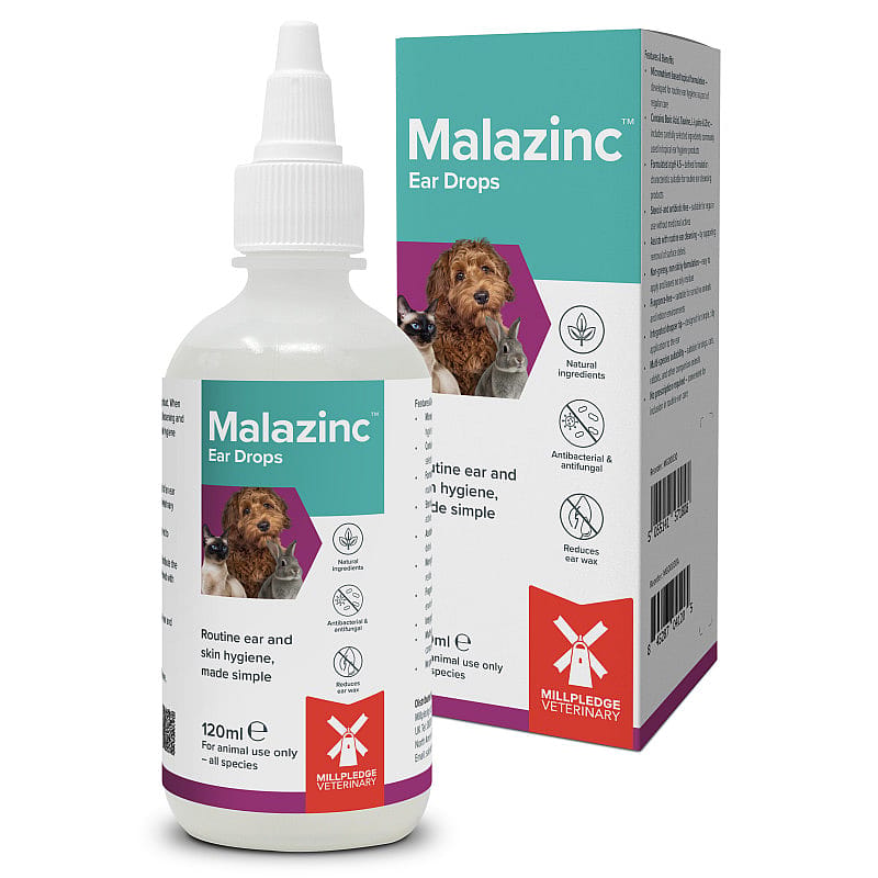 oor, druppels, oorens, dieren, Malazinc