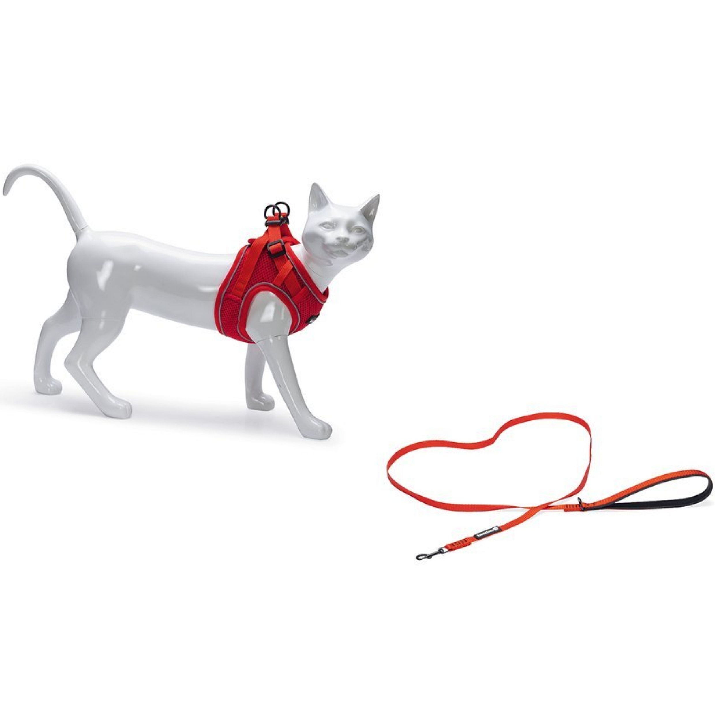 kat-halsband, hondenharnas, rood, riemen, huisdier, hondenharnas, lijn/riem, rode harnas, red leash, kat?