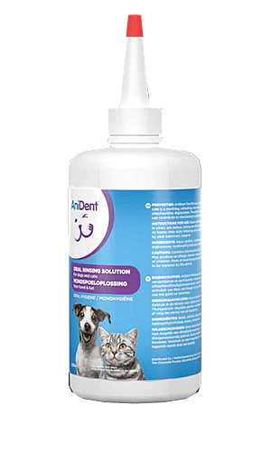 AniDent Mondspoeloplossing Hond Kat 237 ml