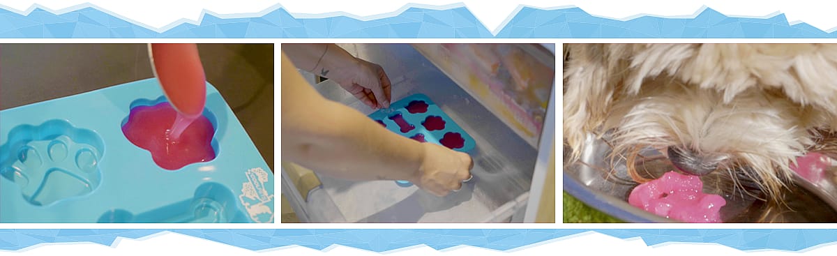 Coolpets Dog Ice Cream Tray