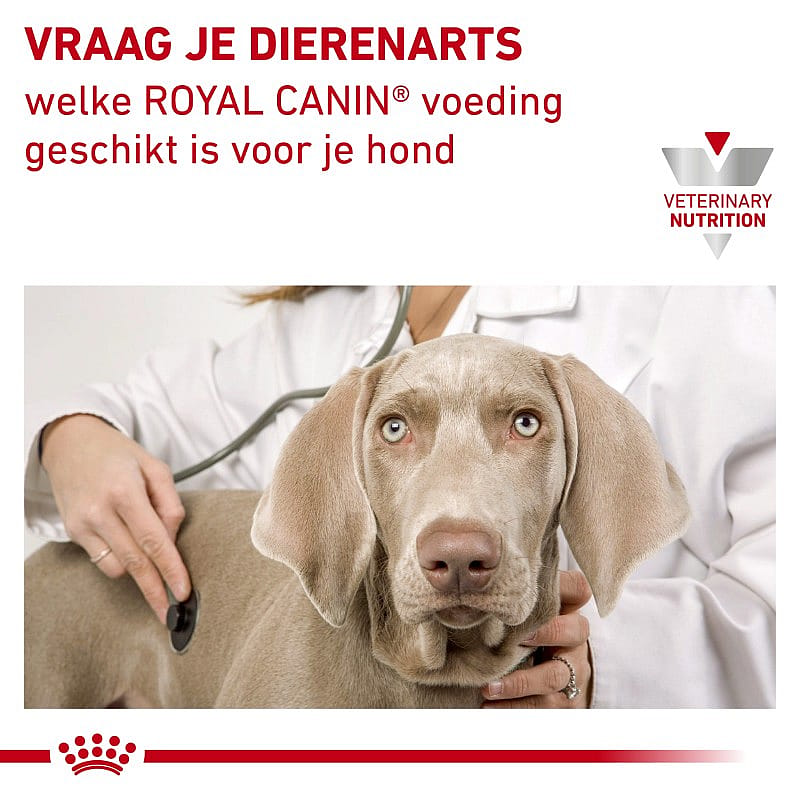 Royal Canin Urinary S/O Hond 7.5 kg
